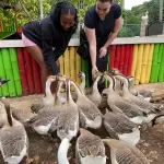 Animal Farm Tour