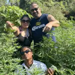 Weed Farm Tour - Image 2