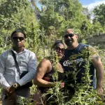 Weed Farm Tour - Image 5